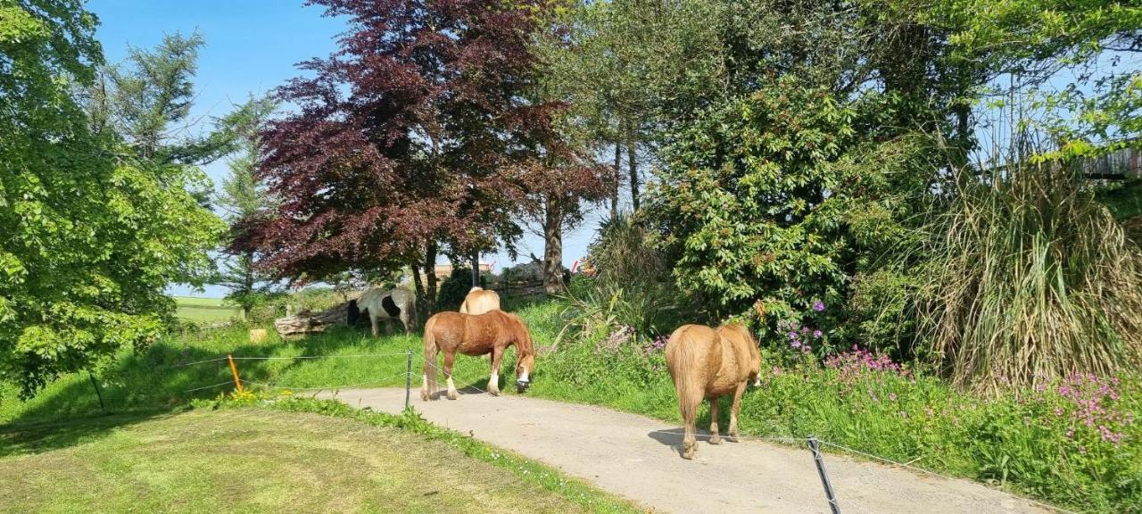 No 4 Trelawney Apartment - Onsite Bar - Restaurant - Horse Riding Menheniot Extérieur photo