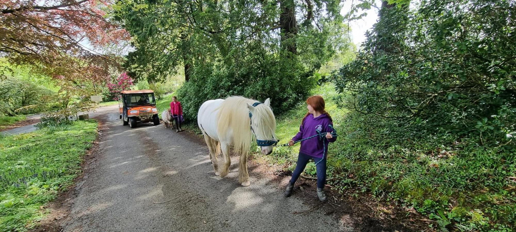 No 4 Trelawney Apartment - Onsite Bar - Restaurant - Horse Riding Menheniot Extérieur photo