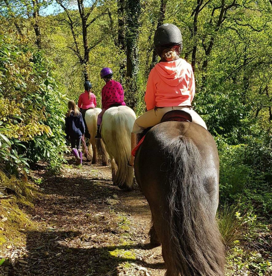 No 4 Trelawney Apartment - Onsite Bar - Restaurant - Horse Riding Menheniot Extérieur photo